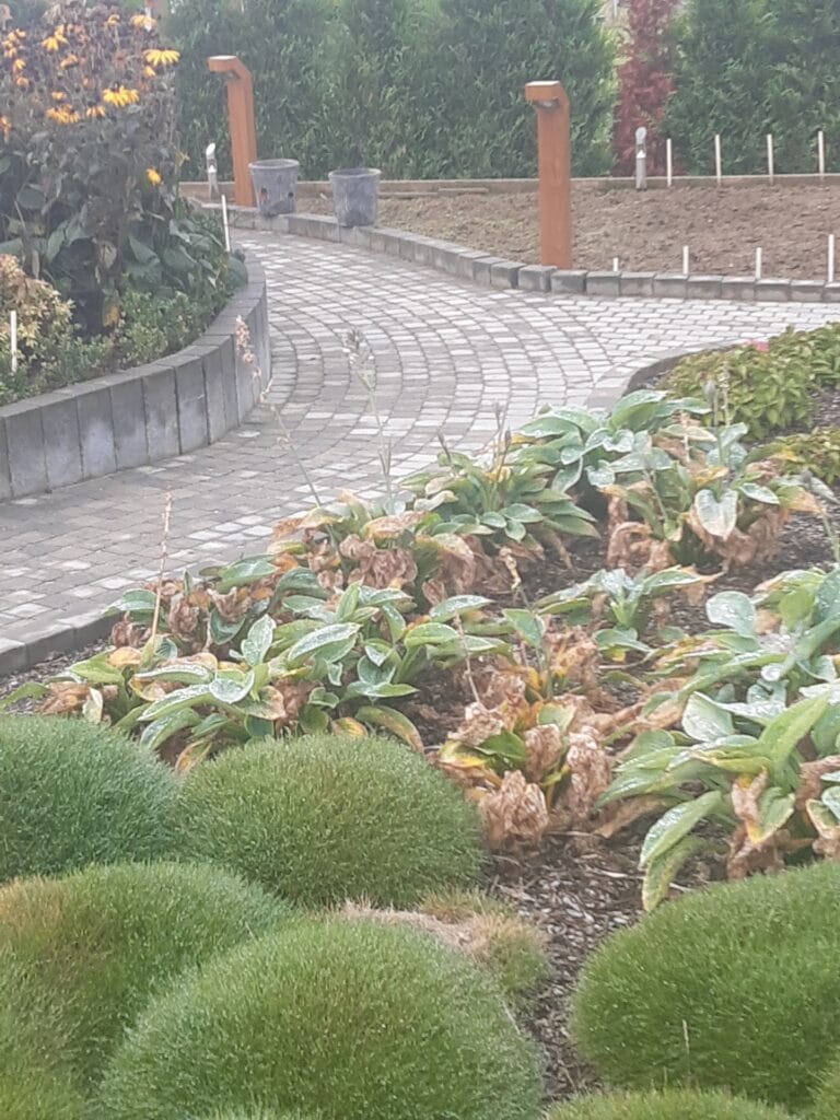 Pad in bettonklinkers met afboording en pallisades